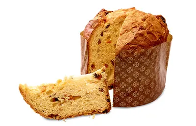 Sapore Madre Sourdough