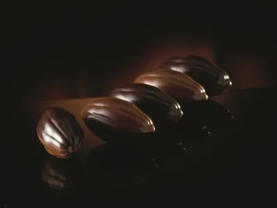 Belcolade Selection M. Plant-Based 46% Cacao-Trace