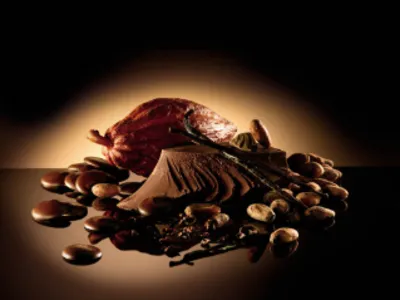 Belcolade Selection Noir 55% Cacao-Trace (C501/J)