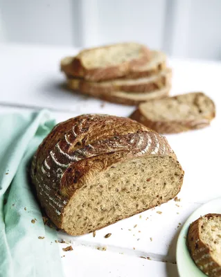 Fermented Rye Malt