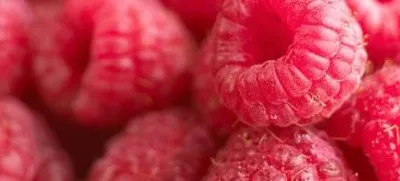 Vaarikatäidis seemnetega Fou Framboise pépins Bucket 8Kg