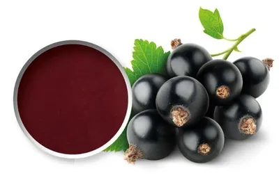 Starfruit mustasõstrapüree 90% 6x1Kg