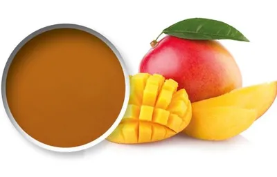 Starfruit mangopüree 90% 6x1Kg